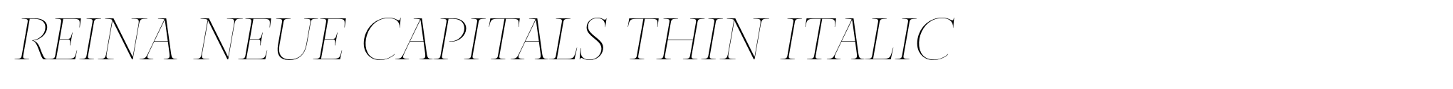 Reina Neue Capitals Thin Italic image